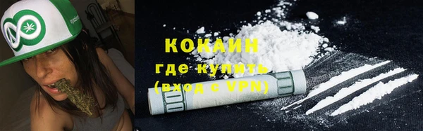 тгк Гусев