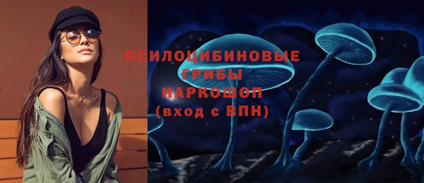 тгк Гусев