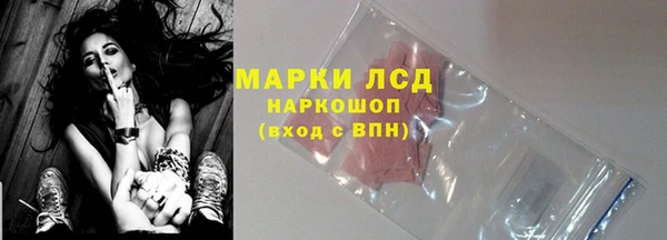 тгк Гусев