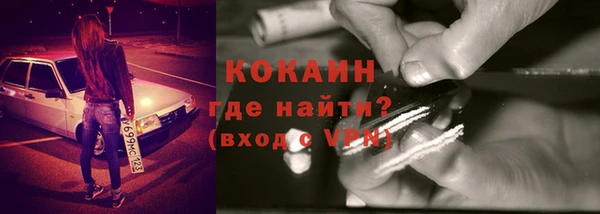 тгк Гусев