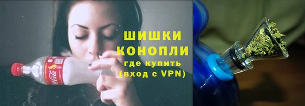 PSILOCYBIN Гусиноозёрск