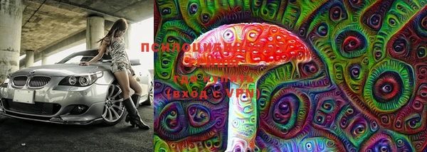 PSILOCYBIN Гусиноозёрск