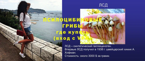тгк Гусев